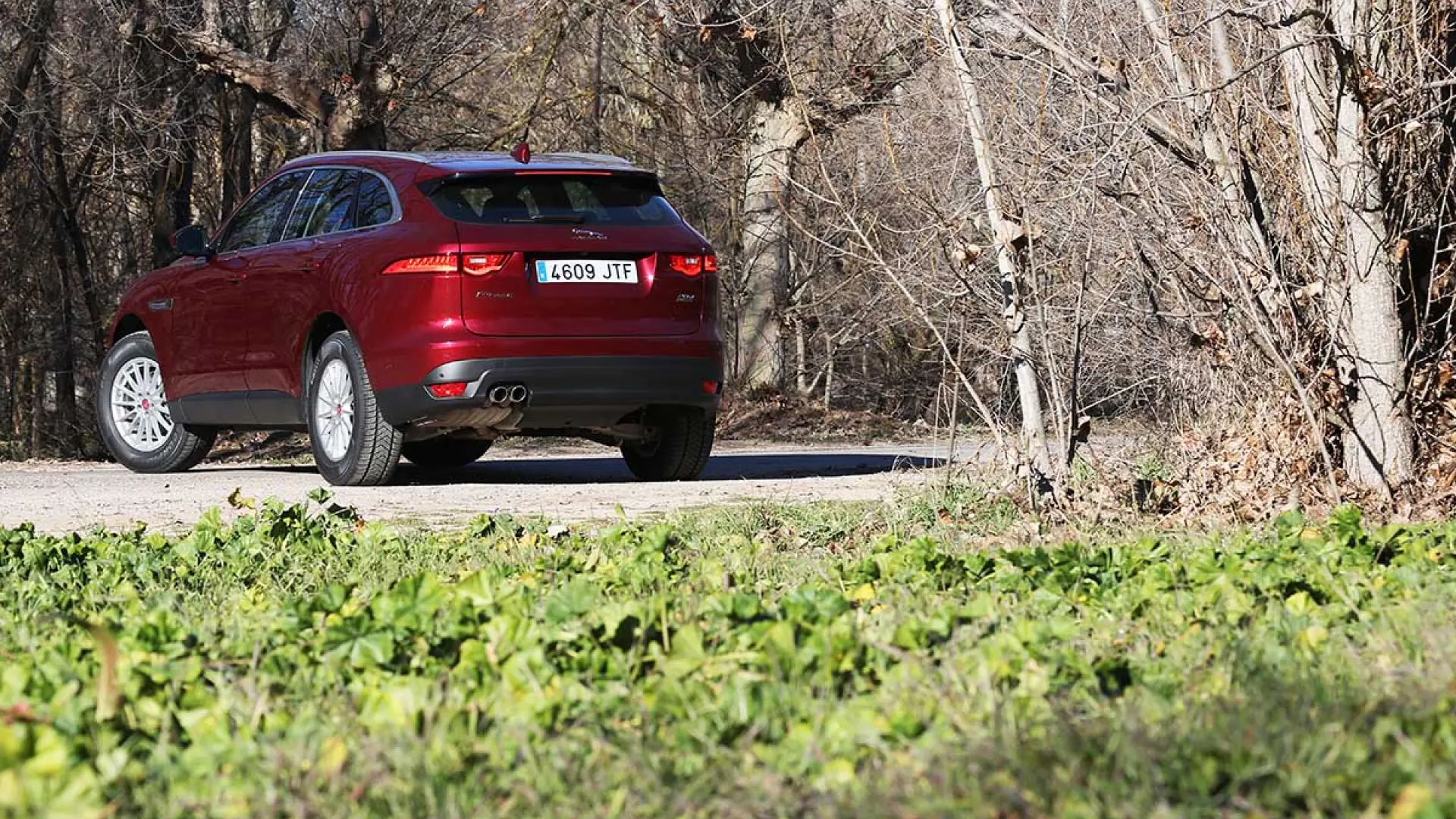 Inspiring Jaguar F Pace 20d Reliability Pictures