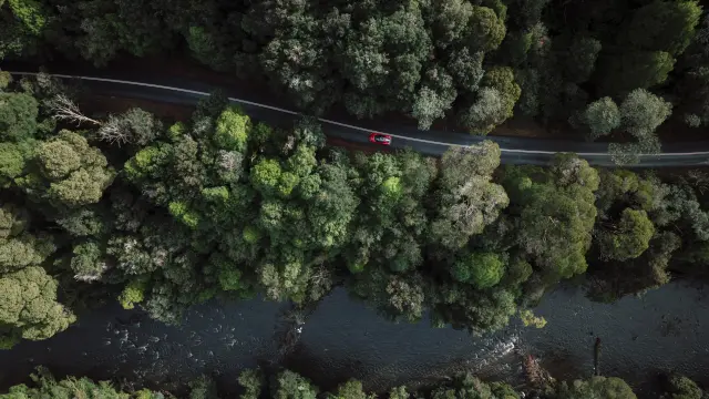 Prueba del Ferrari 849 Testarossa en las 99 curvas de Tasmania