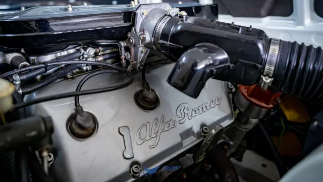 Alfa Romeo GTV6 3.0 Homologation Special