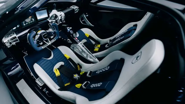 Apollo EVO 'Caribbean Dragon'