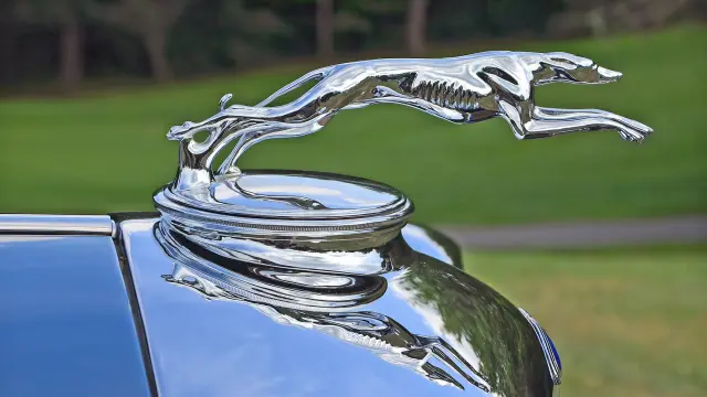Un galgo en el frontal de un Lincoln